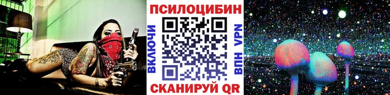Псилоцибиновые грибы прущие грибы  Елец 